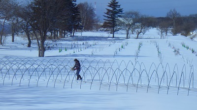 2025-3-10.JPG
